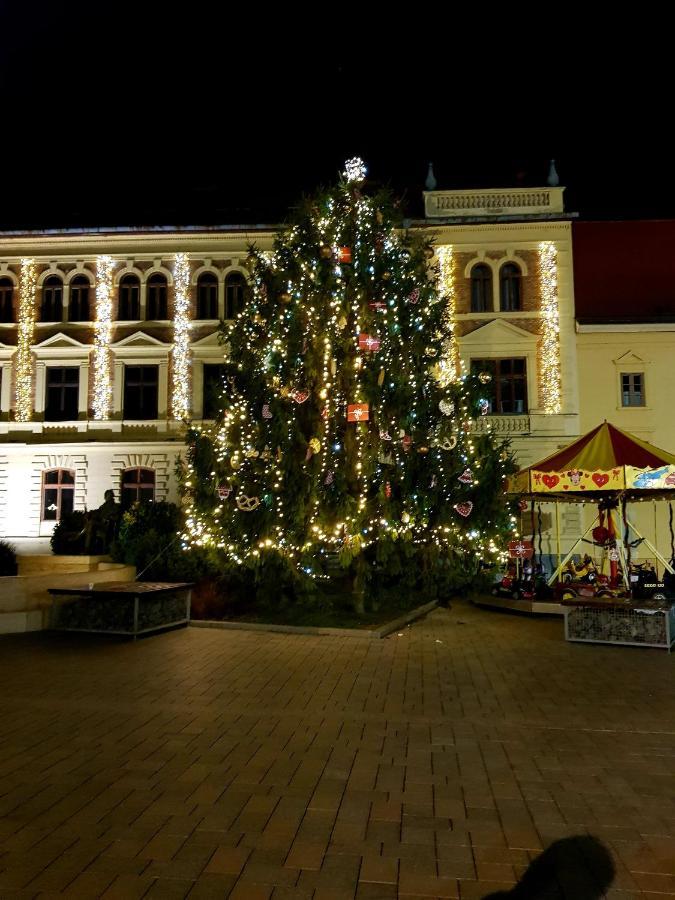 Belvárosi Kertesház Keszthely Exterior foto